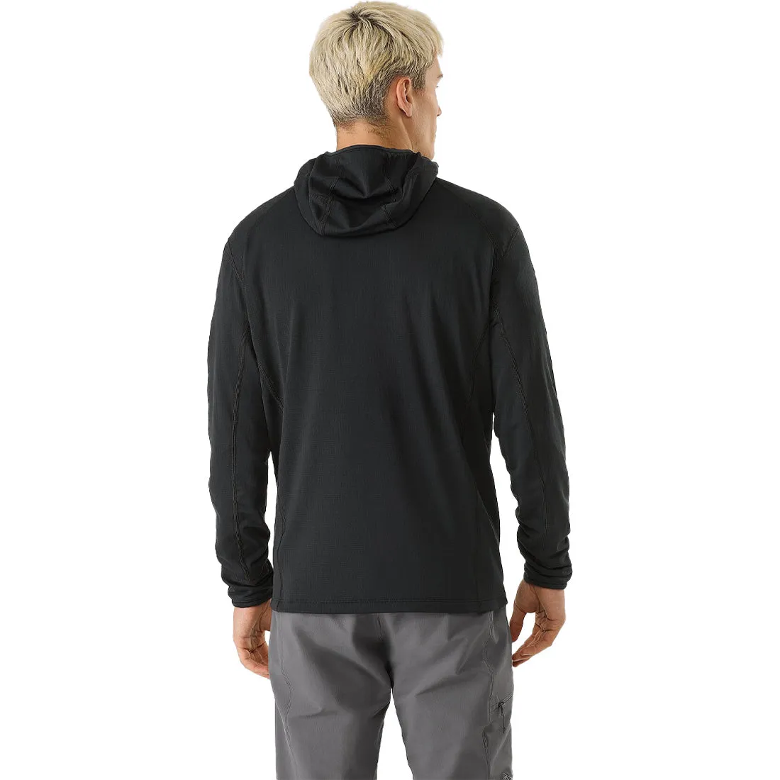 Arc'teryx Delta 1/2 Zip Hoody - Men's