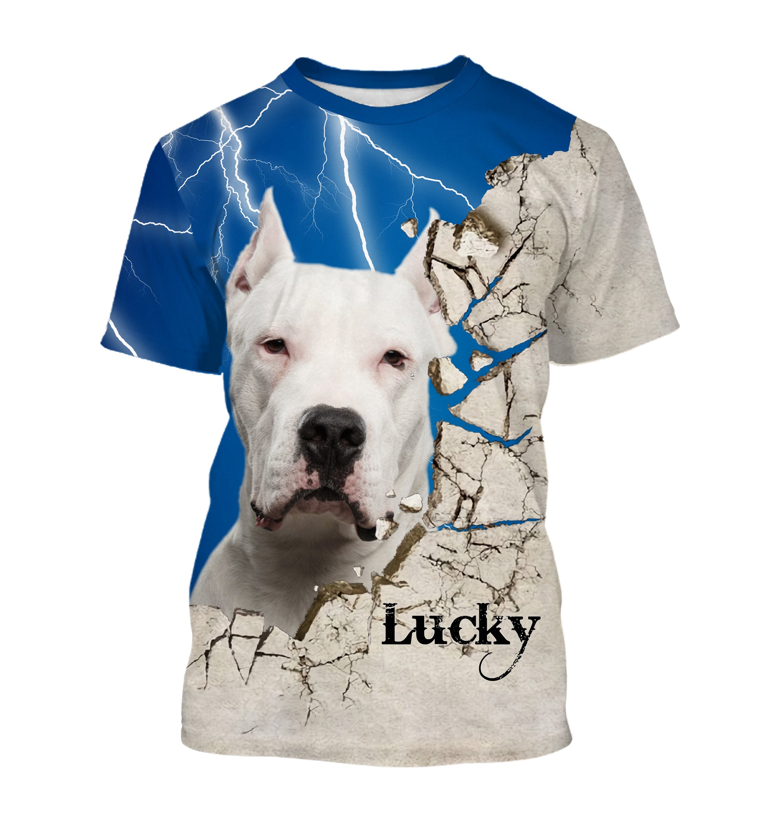 Dogue Argentin Chien, Dogo Argentino, T-shirt, Sweat à Capuche Pour Homme, Femme, Cadeau Personnalisé - CTS13042209